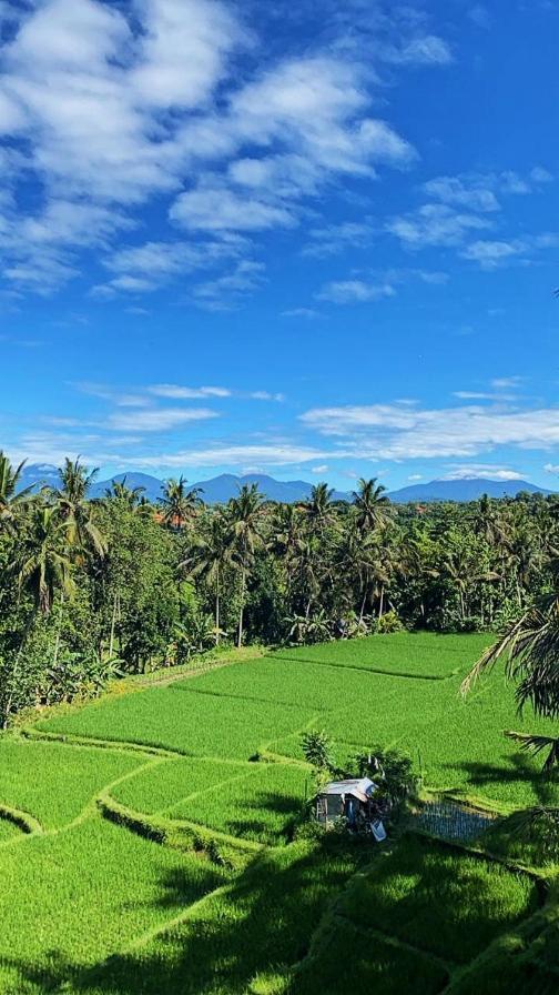 Nirwa Ubud Karma Exterior photo