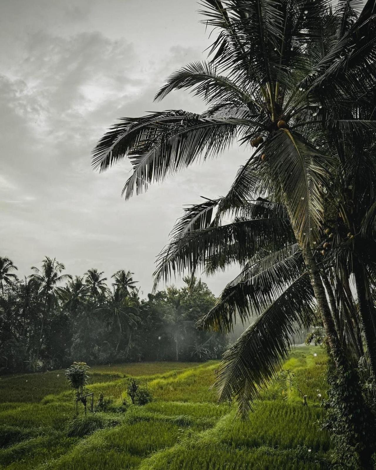 Nirwa Ubud Karma Exterior photo